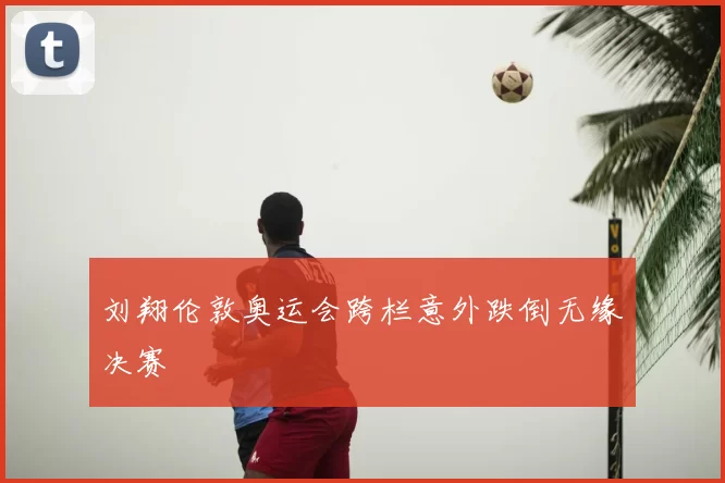 刘翔伦敦奥运会跨栏意外跌倒无缘决赛