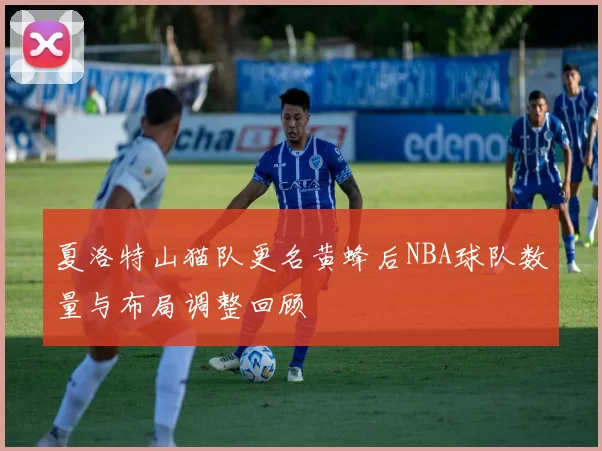 夏洛特山猫队更名黄蜂后NBA球队数量与布局调整回顾