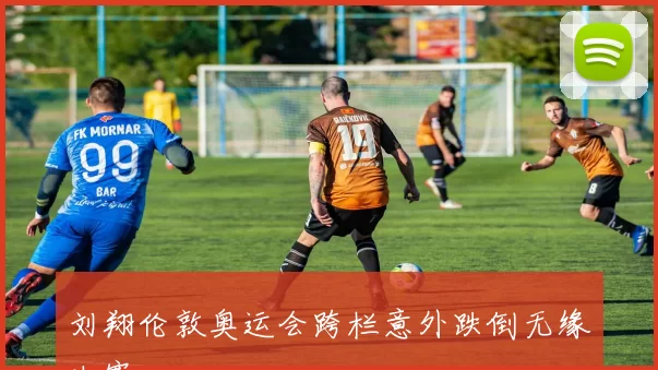 刘翔伦敦奥运会跨栏意外跌倒无缘决赛