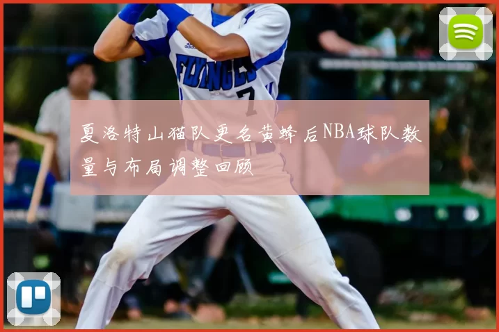 夏洛特山猫队更名黄蜂后NBA球队数量与布局调整回顾